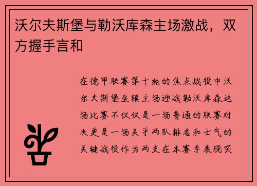 沃尔夫斯堡与勒沃库森主场激战，双方握手言和